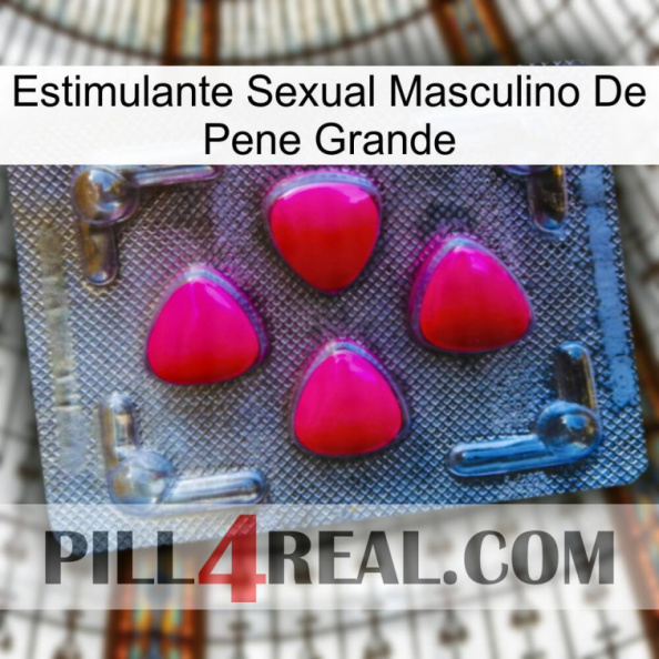 Big Penis Male Sexual Stimulant 13.jpg